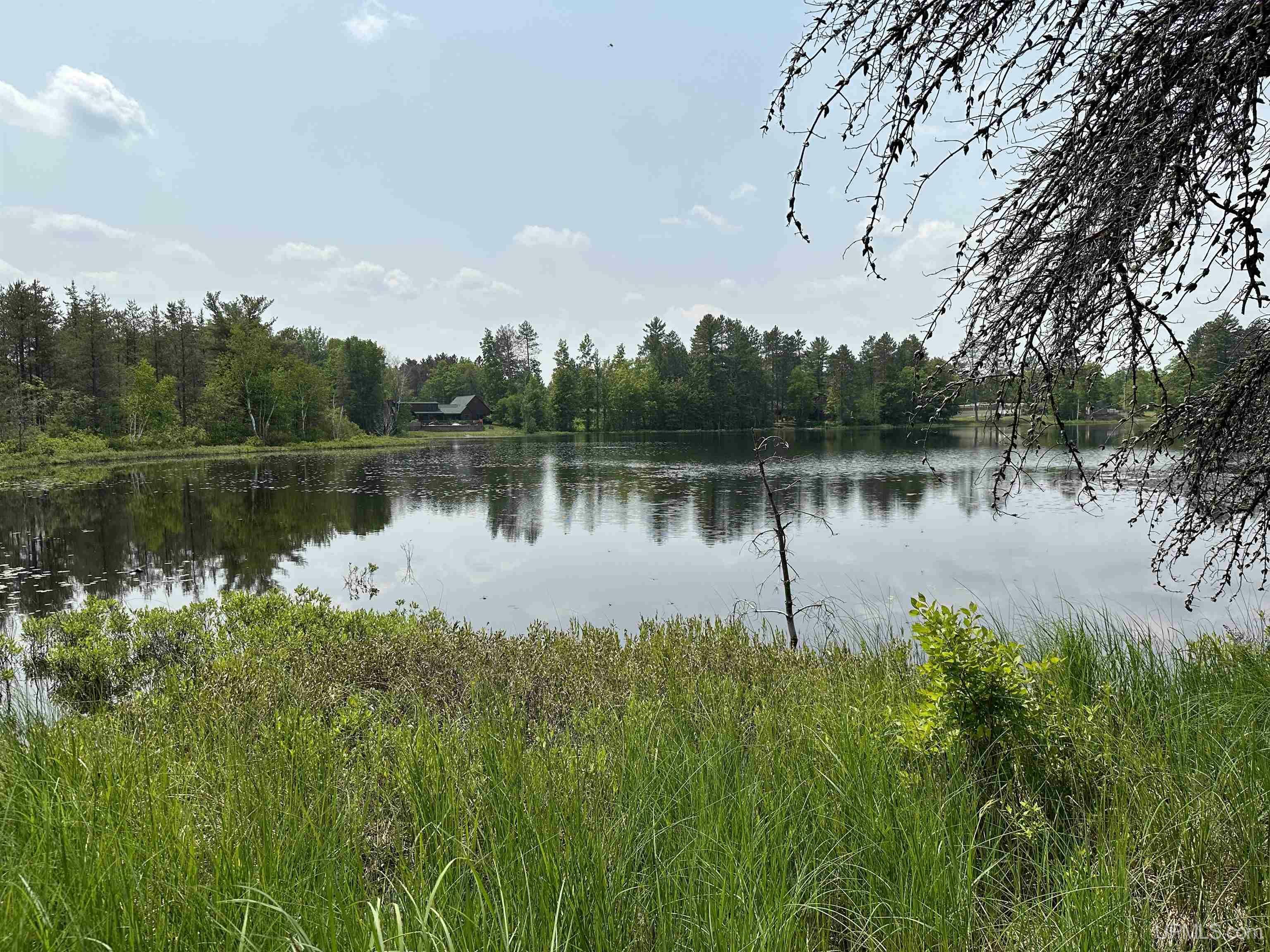 Property Photo: 215 Driftwood MI 49841
