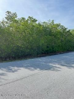 Property Photo: 0 Vacant Land Long Point Road FL 32951