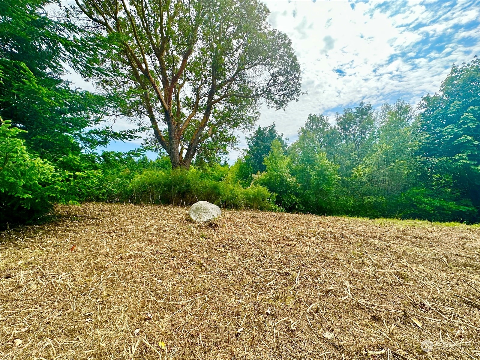 Property Photo: 786 Lisa Lane WA 98282