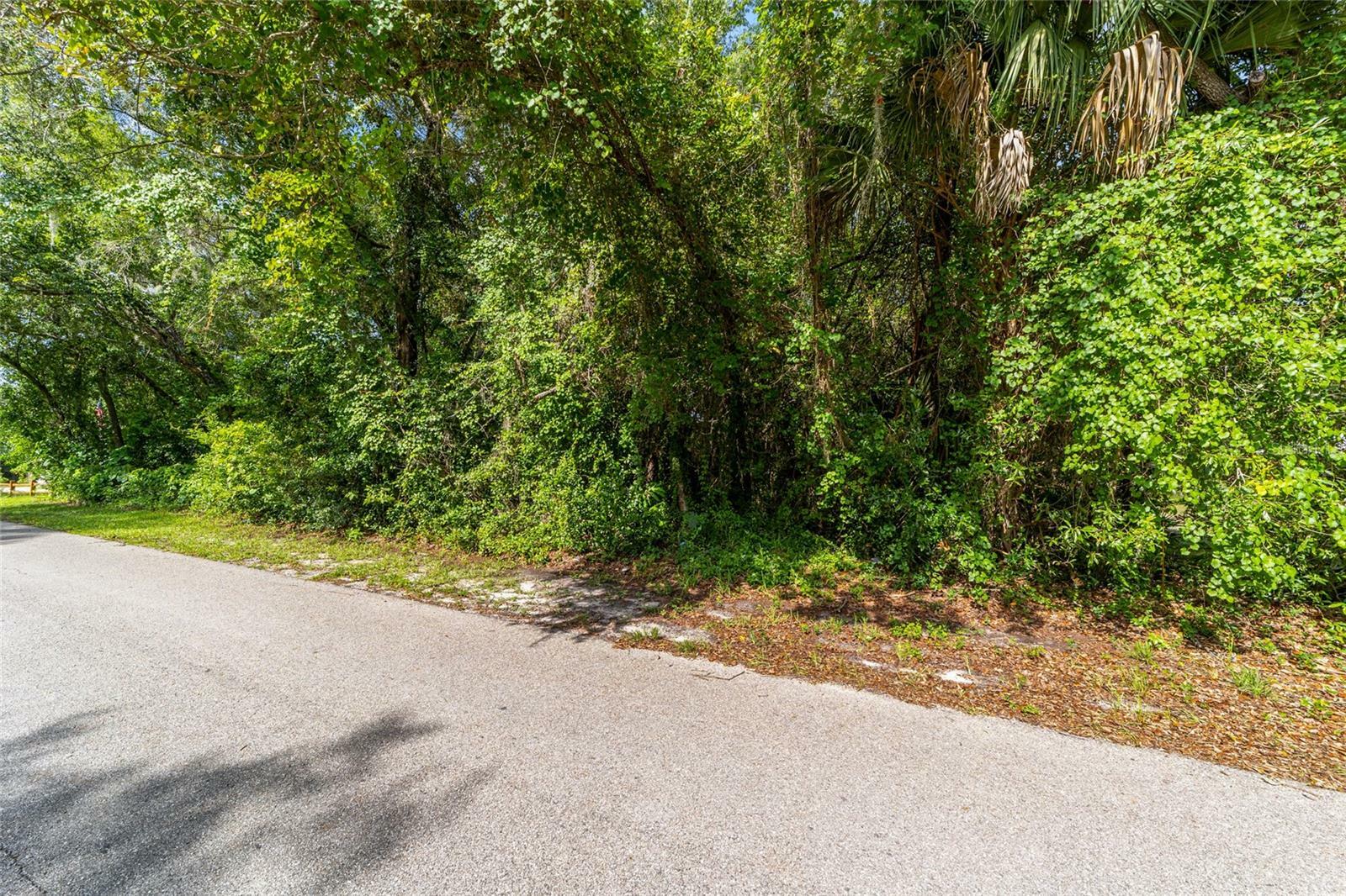 Property Photo:  835 North McGowen Avenue  FL 34429 