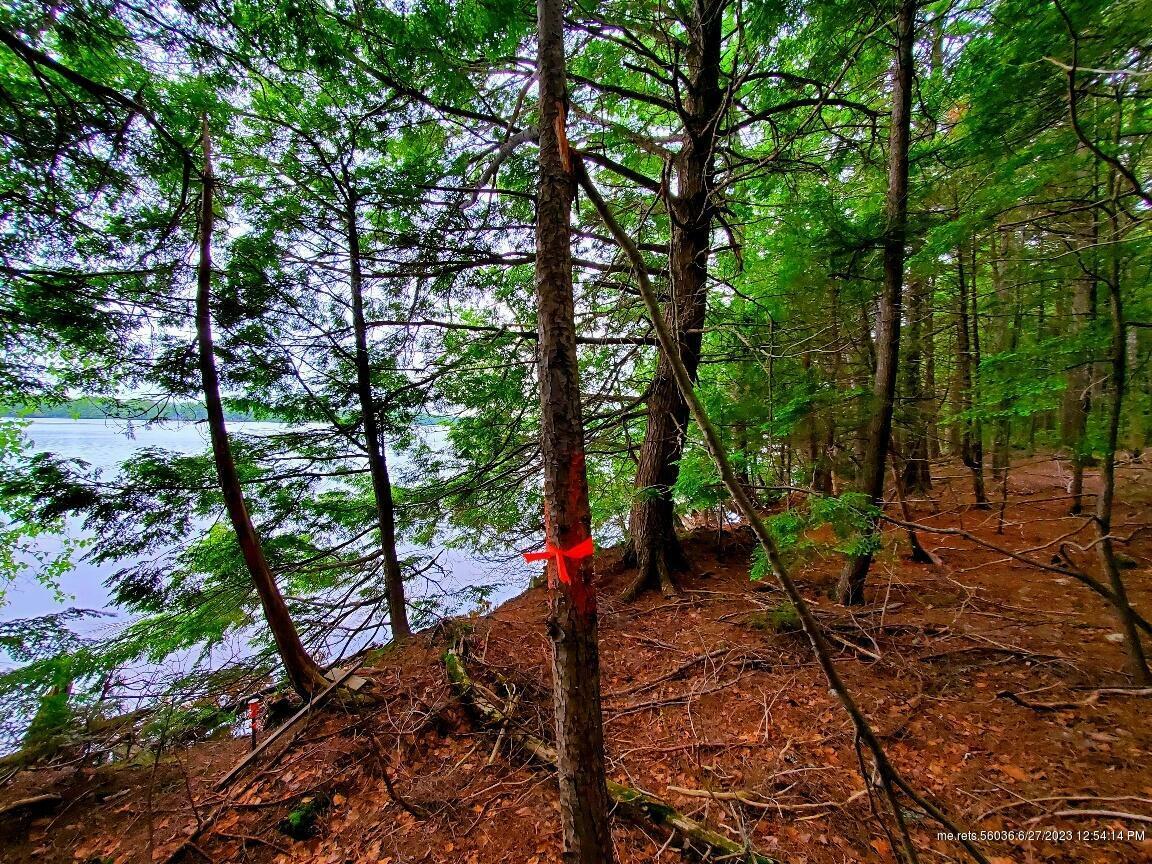 Property Photo: Lot 10 Black Cat Point Drive ME 04668