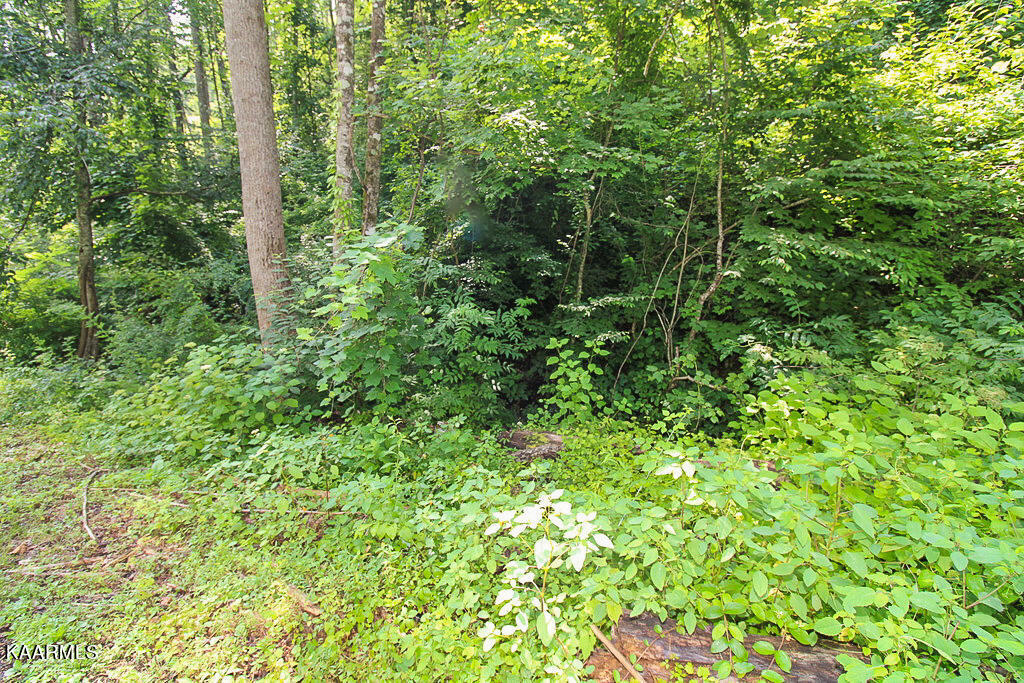 Property Photo:  Lots 537 &Amp 538 Deep Hollow Rd  TN 37738 