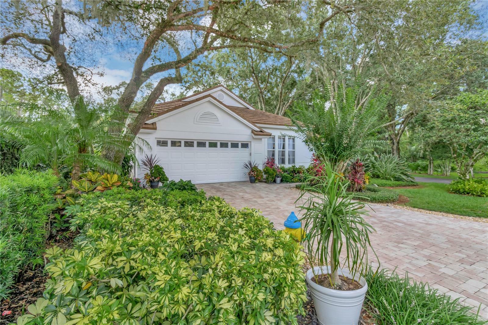 Property Photo:  5204 Green Forest Court  FL 33647 