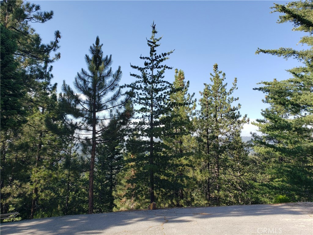 Property Photo:  0 Rimwood Road  CA 92382 