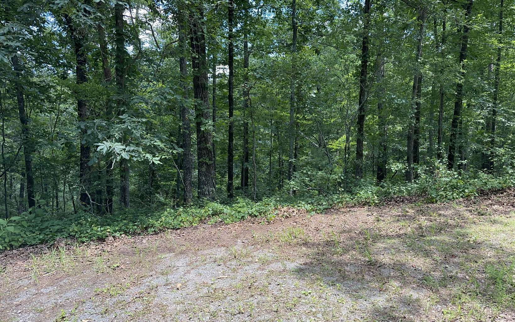 Property Photo:  0 Rebekah Ridge Road  GA 30175 