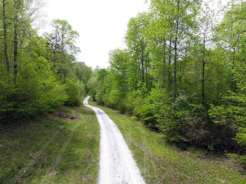 Property Photo:  Tract 1 Dogwood Drive  KY 42653 