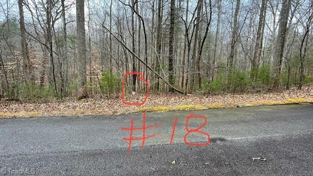 Property Photo: Lot 18 Woods Haven Lane VA 24171