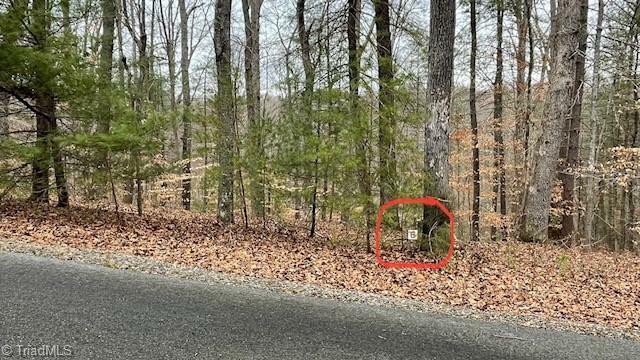 Property Photo: Lot 6 Woods Haven Lane VA 24171