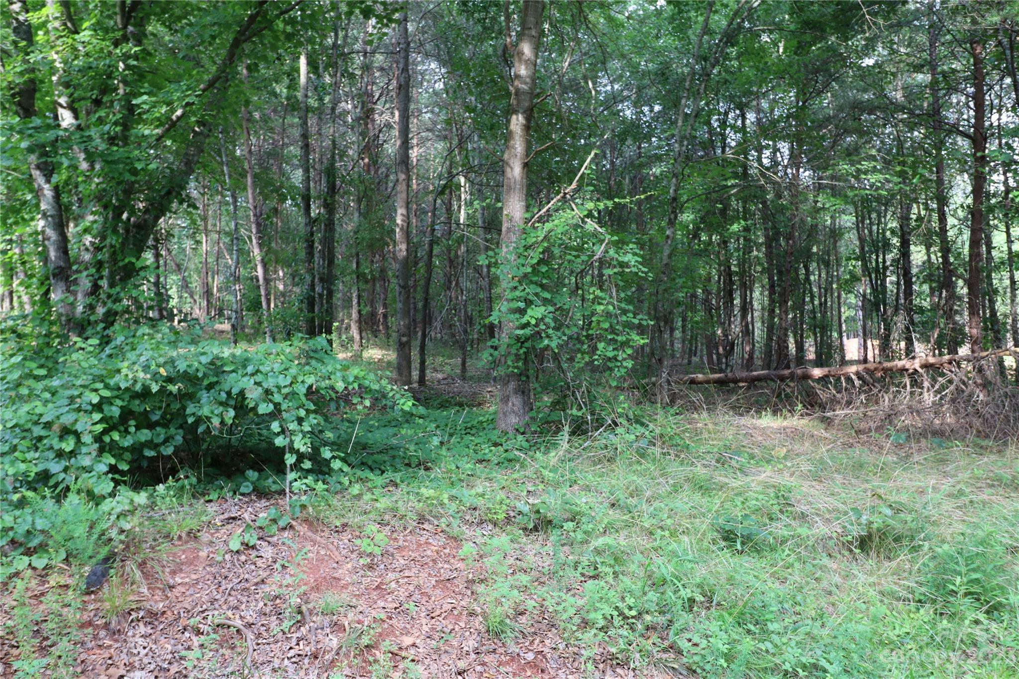 Property Photo:  Lot 29 Whispering Pines Circle  NC 28043 