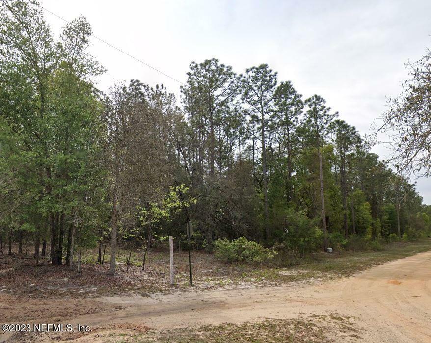 Property Photo: Lot 47 River Street FL 32148