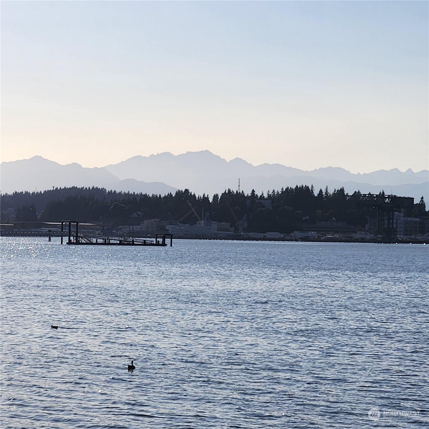 Property Photo:  1273 Beach Drive E  WA 98366 