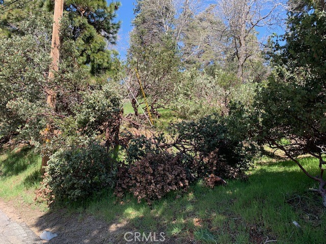 Property Photo: 0 Arth Drive CA 92325