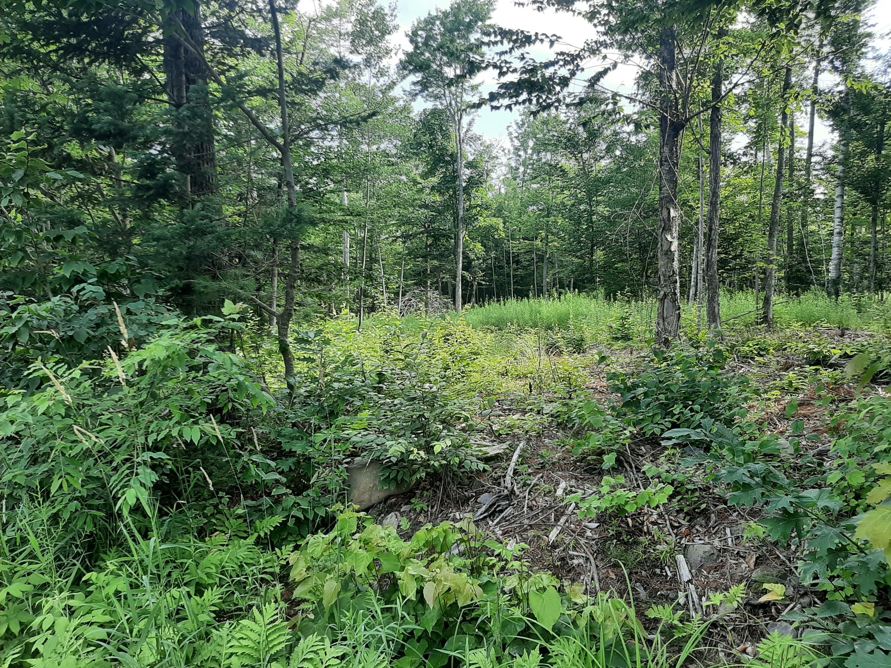 Property Photo:  Lot 3 Ohio Street  ME 04401 