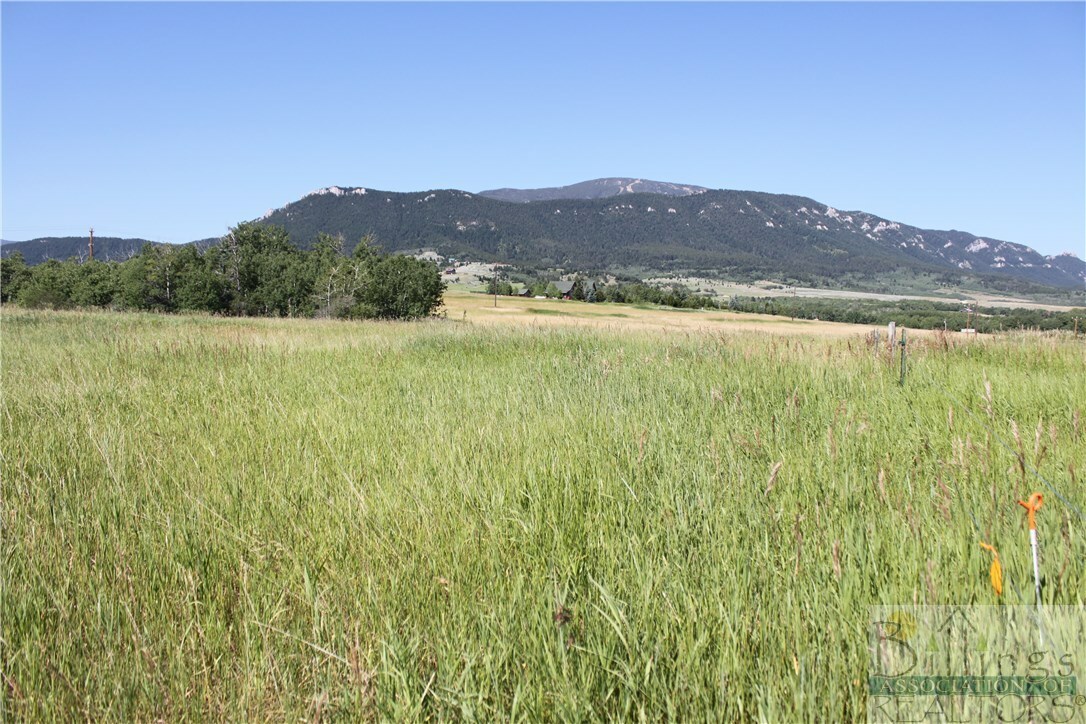 Property Photo: Nsn Fox Road MT 59068