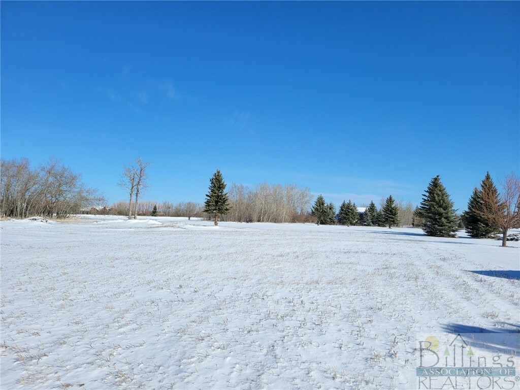 Property Photo:  31 Grizzly Circle  MT 59068 