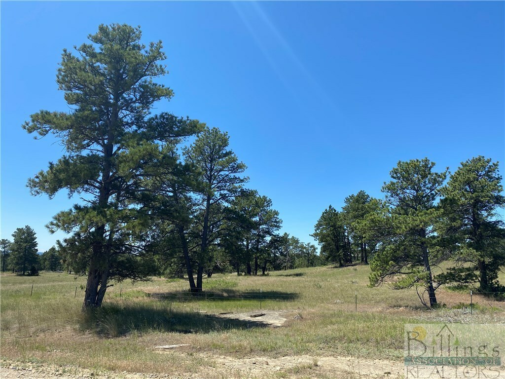 Lot 47 N Delphia Road  Roundup MT 59072 photo