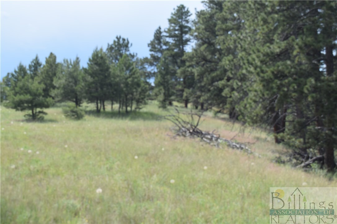 Property Photo:  Tbd Pine Crest Road Lot #123  MT 59019 