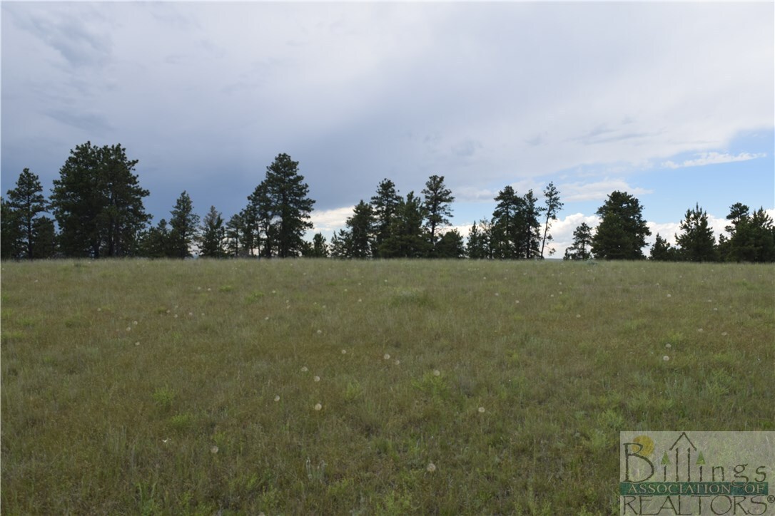 Property Photo:  Tbd Pine Crest Road Lot #124  MT 59019 