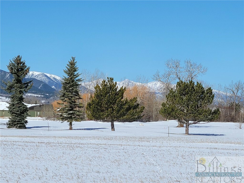 Property Photo: 54 Sundog Court MT 59068