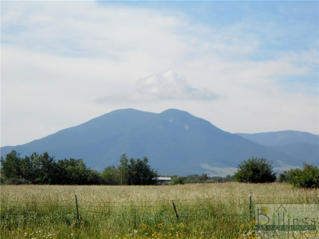 Property Photo: 2905 Baneberry Avenue MT 59068