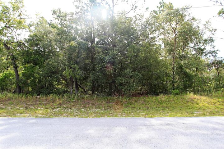 Property Photo:  0 Locust Pass Drive  FL 34472 