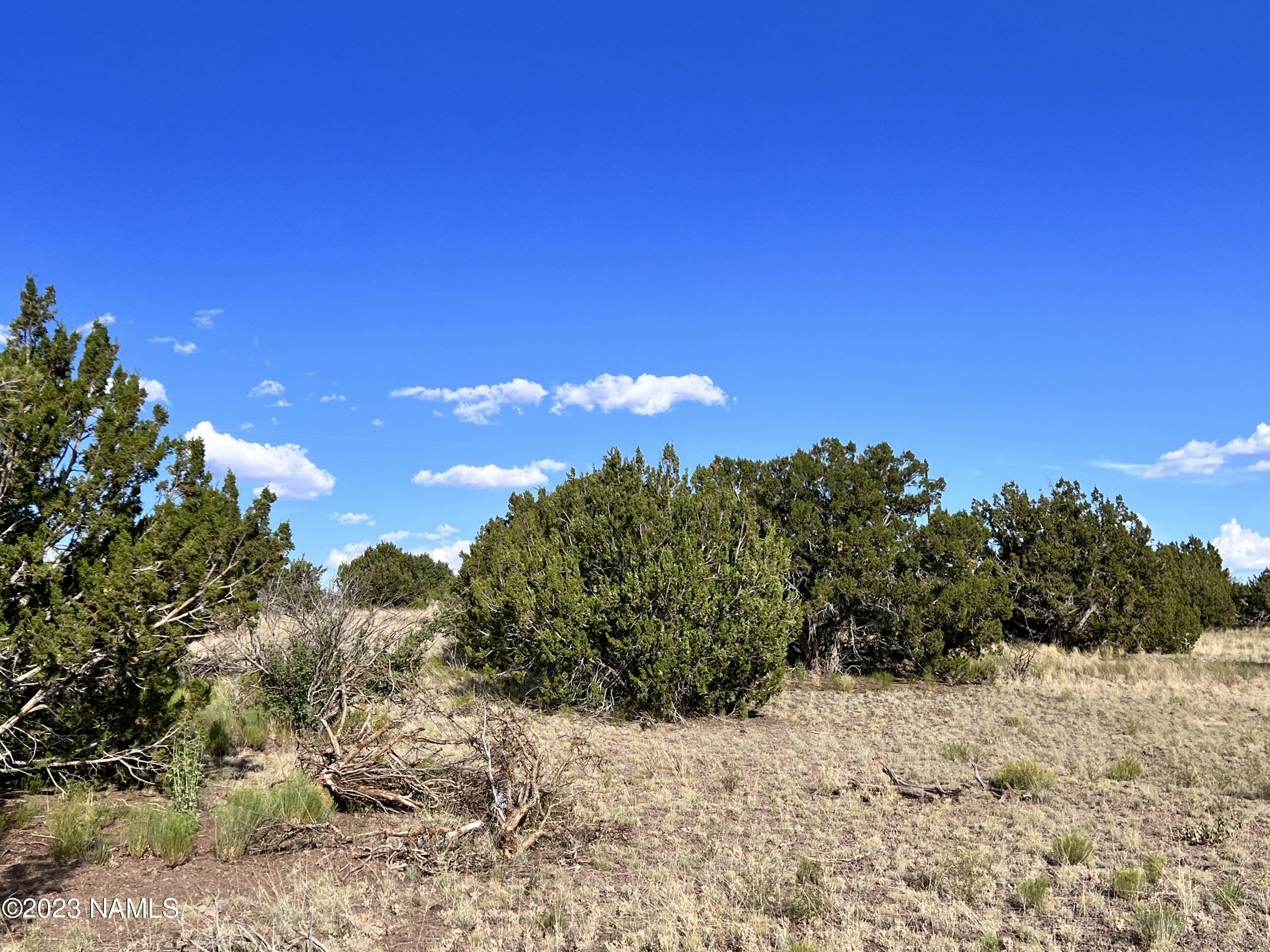 Property Photo:  8180 S Big Bear Road 463  AZ 86046 