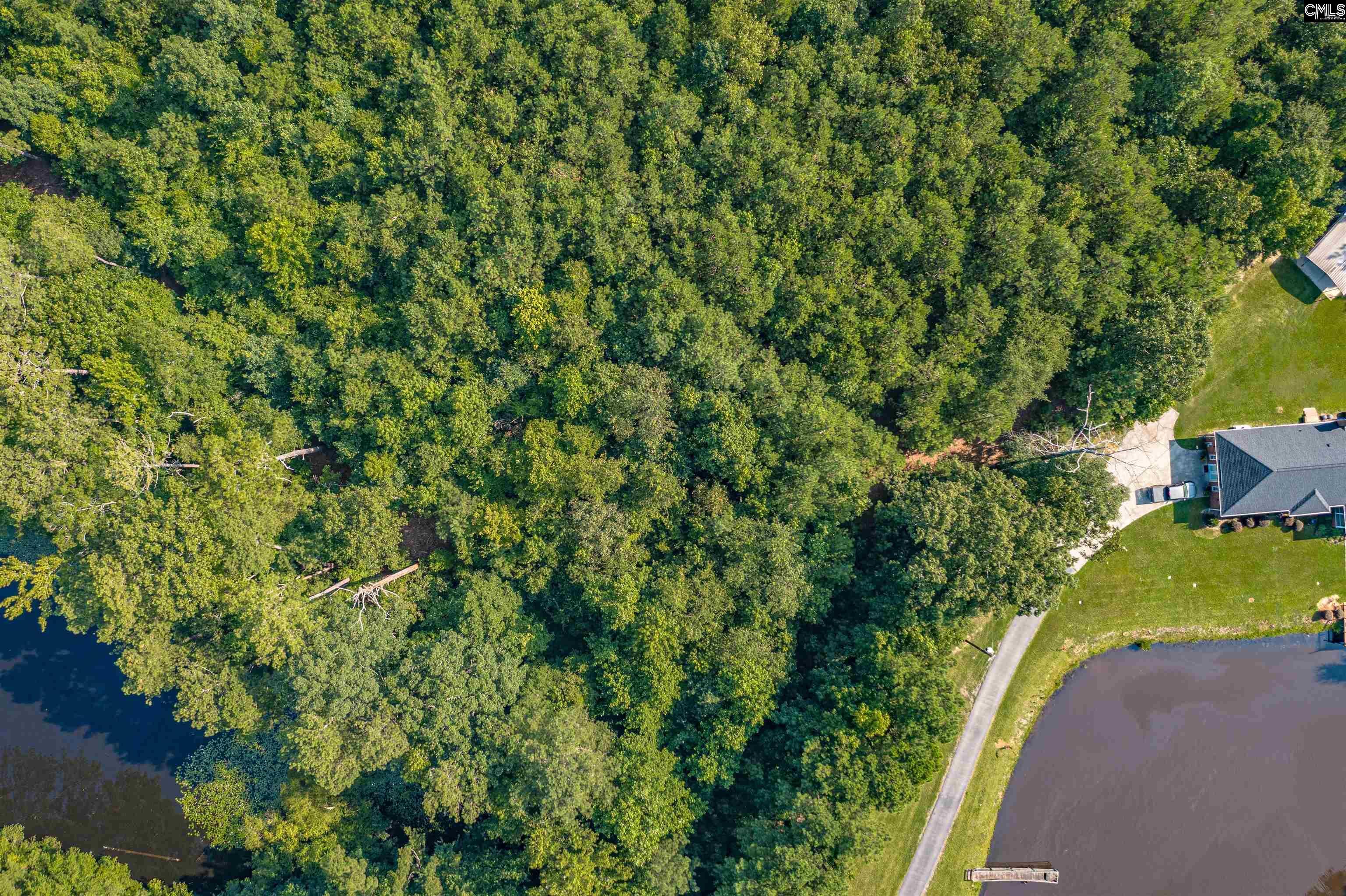 Property Photo: 3 Chop Run SC 29072