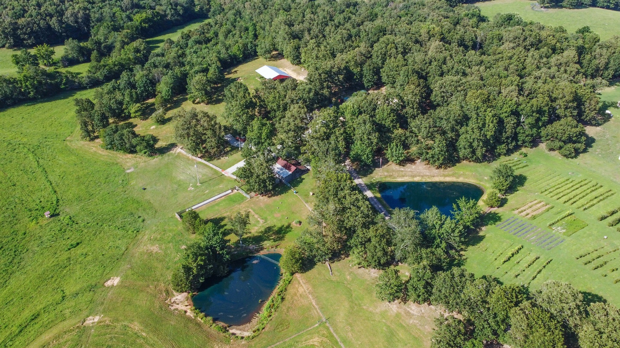 Property Photo:  76 Chief Creek Rd N  TN 38464 