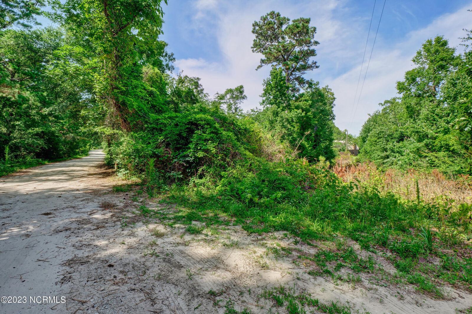 Property Photo: 118 Riley Lewis Road NC 28460