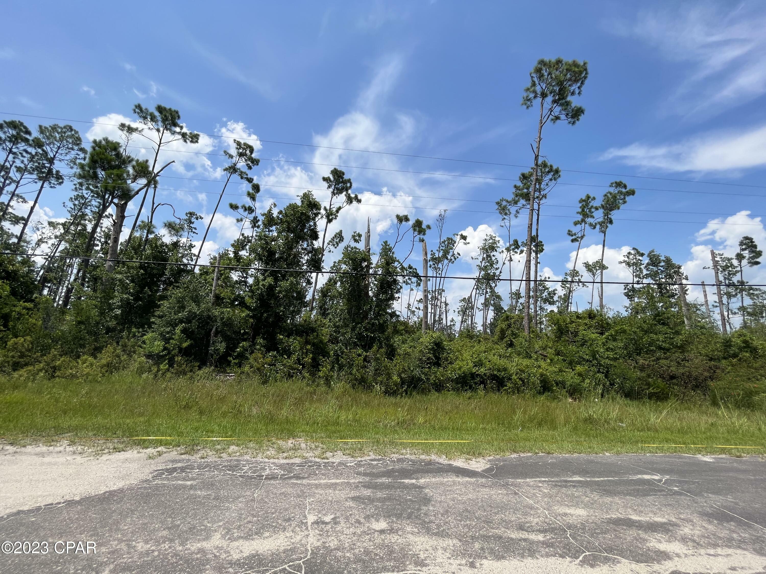 Property Photo: 12229 Caruso Drive FL 32404