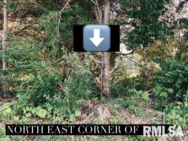 Property Photo: Lot 5 Falcon Road IL 62901