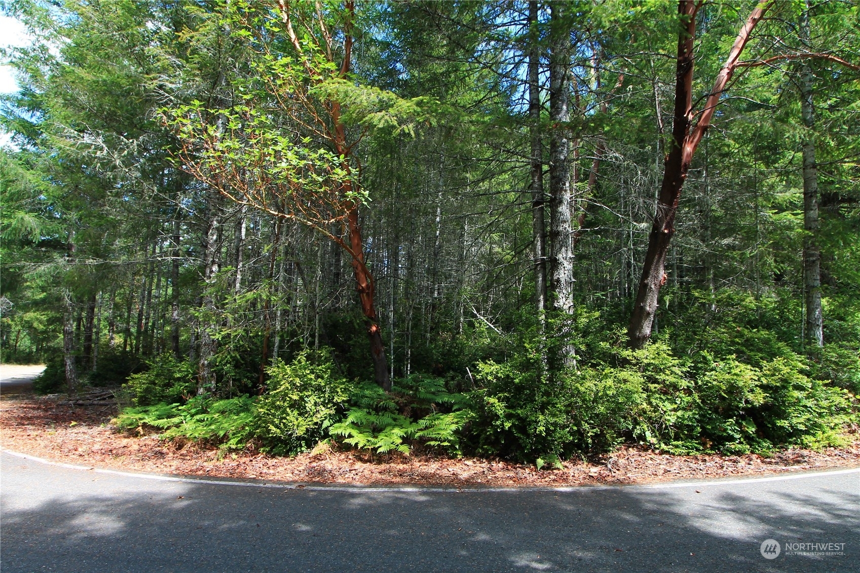 Property Photo:  0 Lot 1 NE Bear Ridge Road  WA 98588 