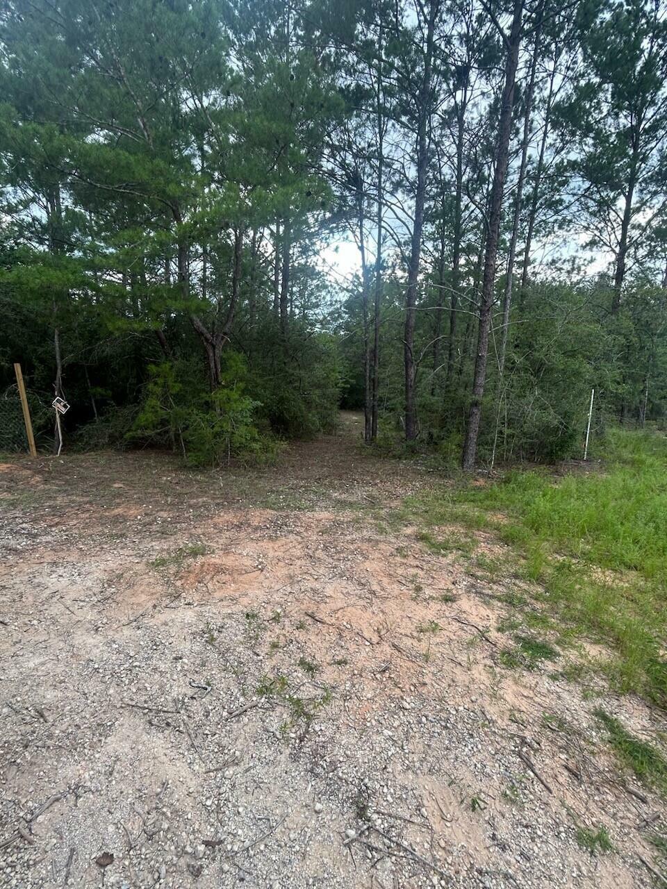 Property Photo:  Lot Xx Clover Lane  FL 32433 