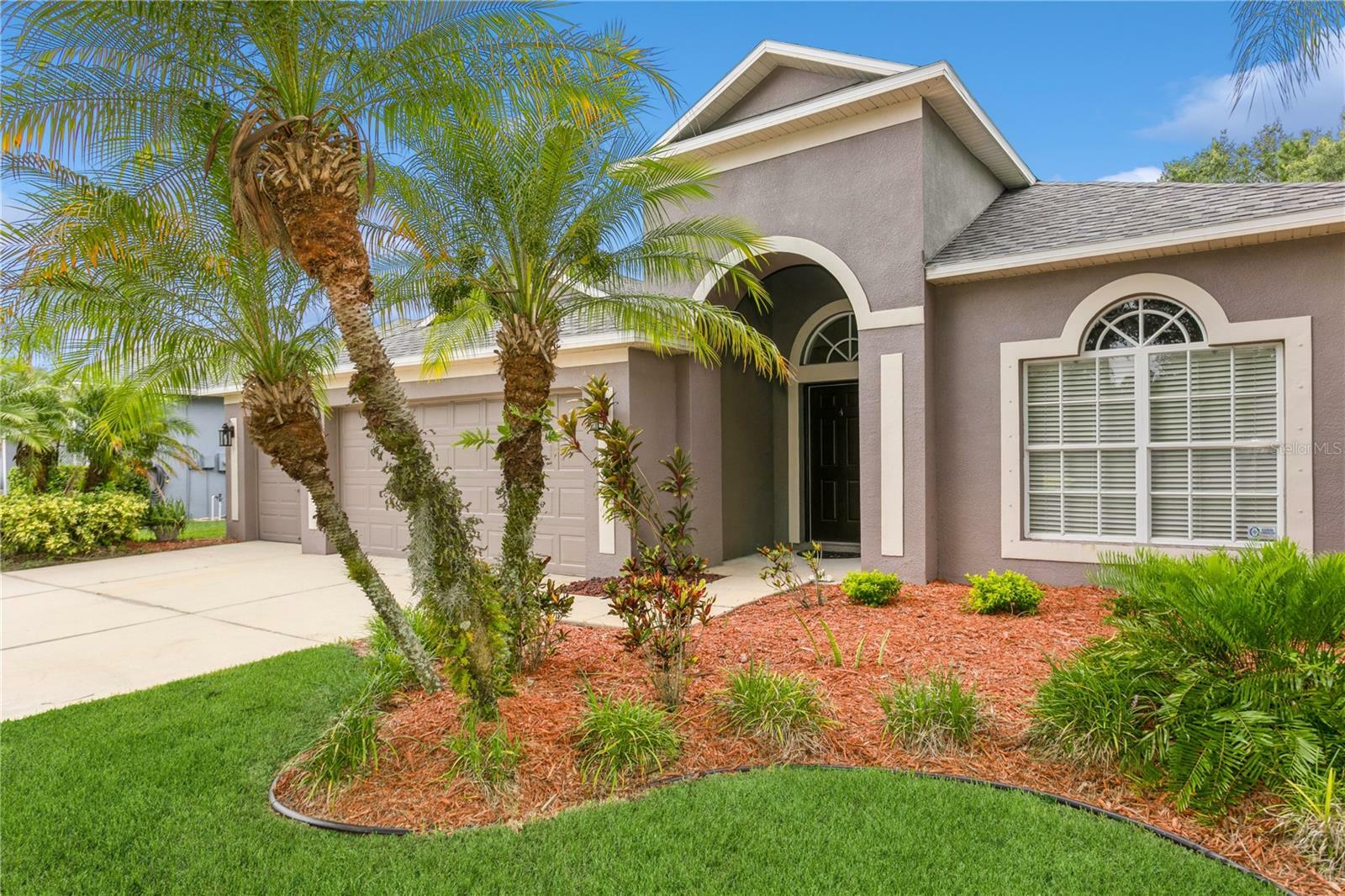 Property Photo:  19208 Meadow Pine Drive  FL 33647 