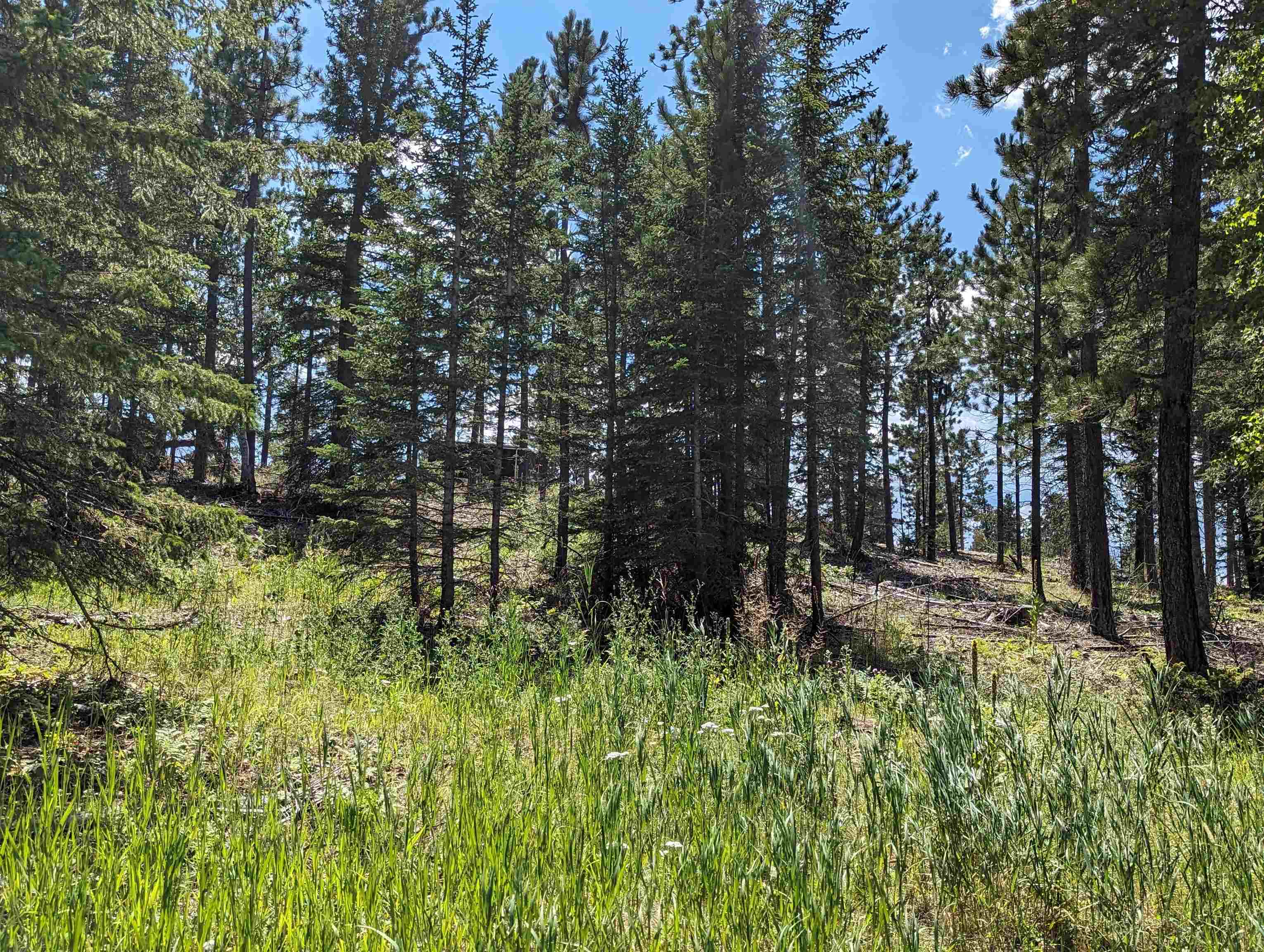 Property Photo:  Lot 14 Block 5 Overlook Court  SD 57754 