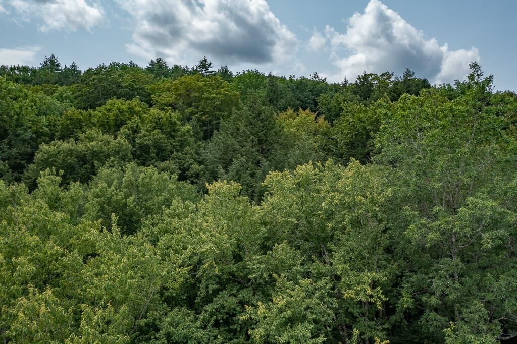 Property Photo:  0 Dwight Road 7014  VT 05059 