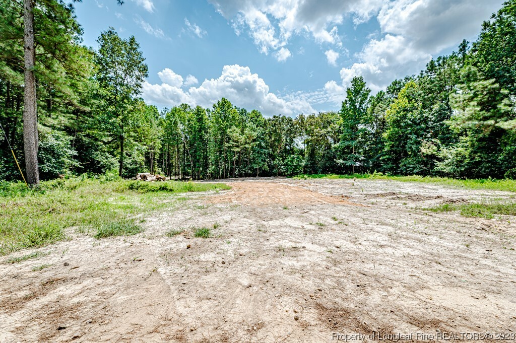 Property Photo: Tbd Hicks Road NC 27505