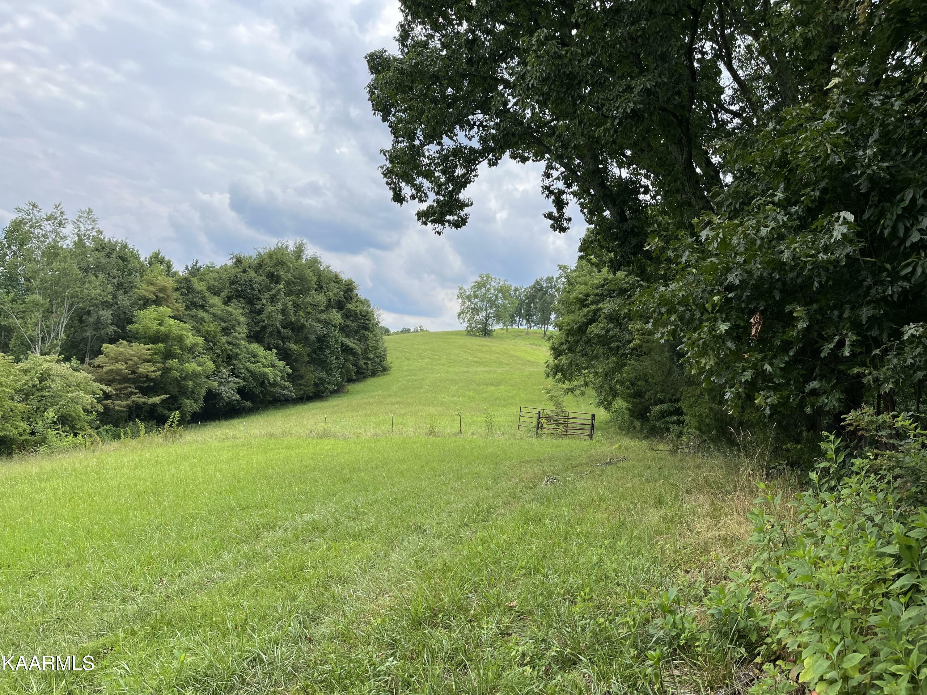 Property Photo:  Little Sycamore Rd  TN 37879 