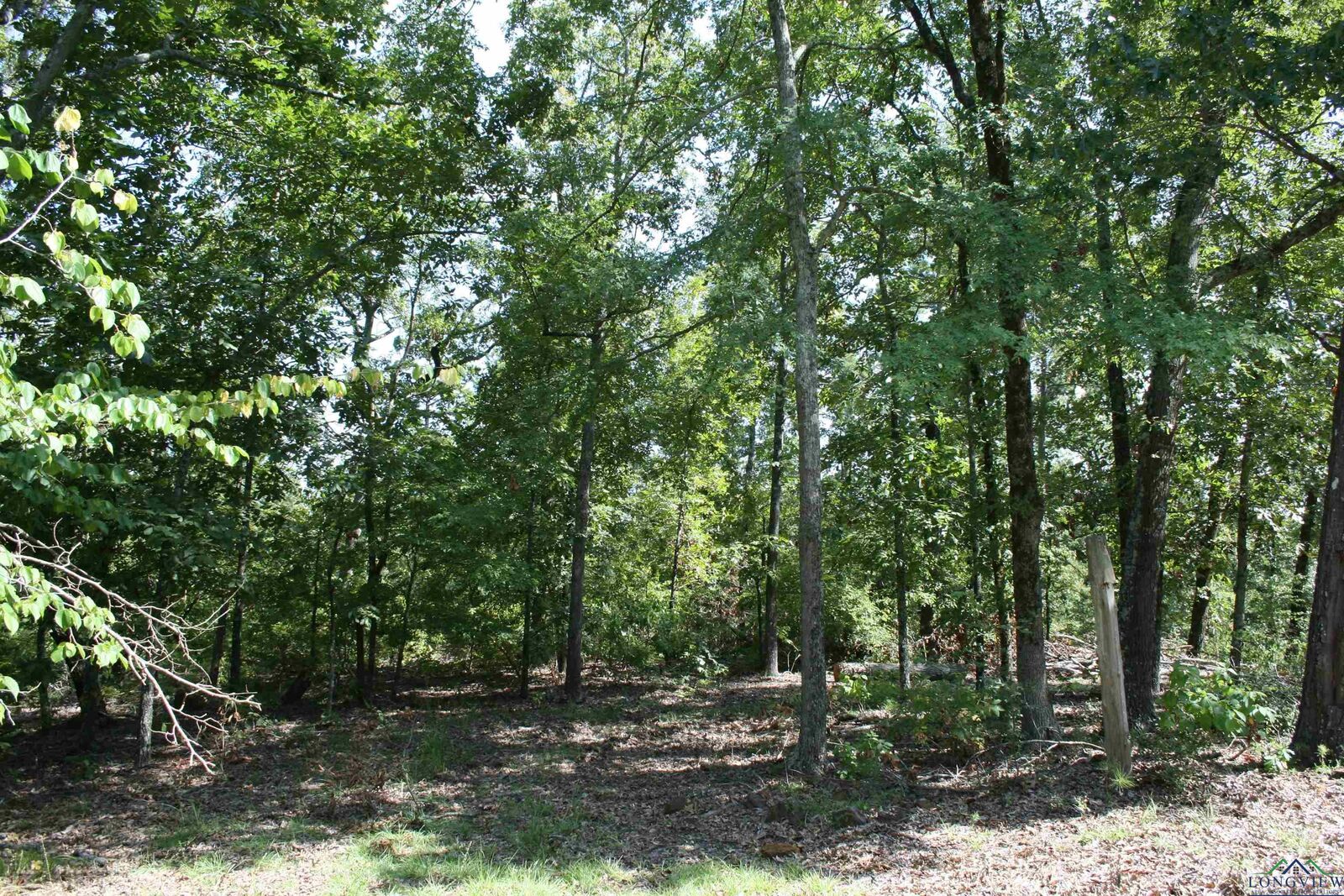 Property Photo:  2372 Cr 2993  TX 75656 