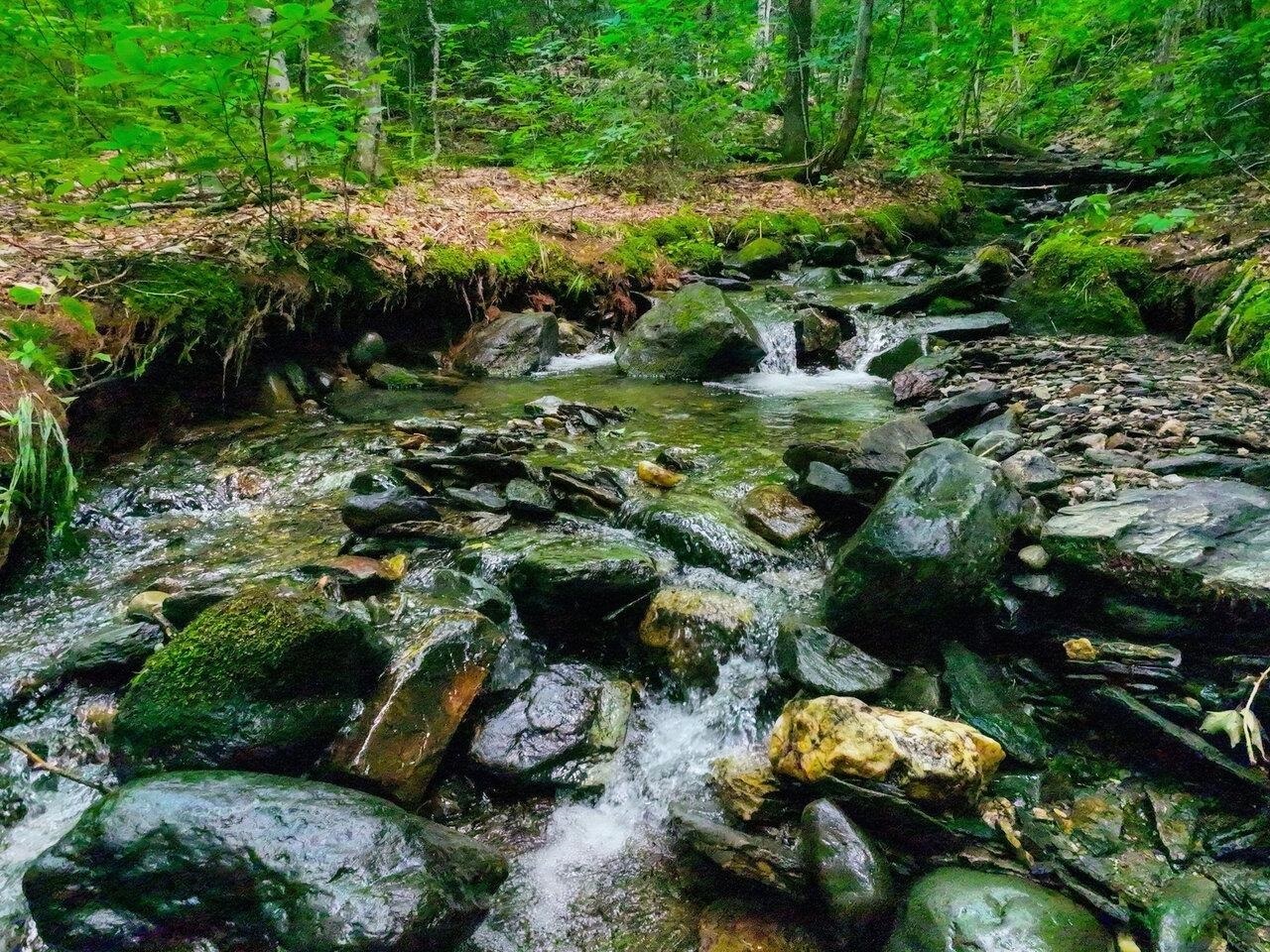 Property Photo:  Lot 3 Cider Mountain Road  VT 05674 
