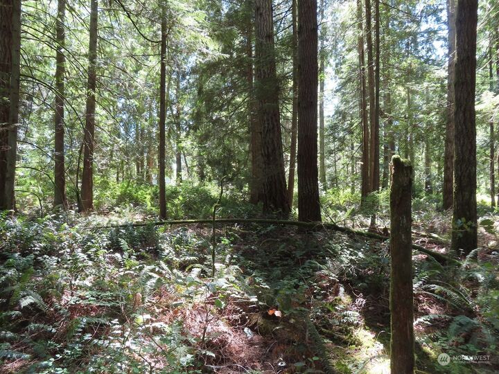 Property Photo: 0 Xxx Logan Hill Road WA 98532
