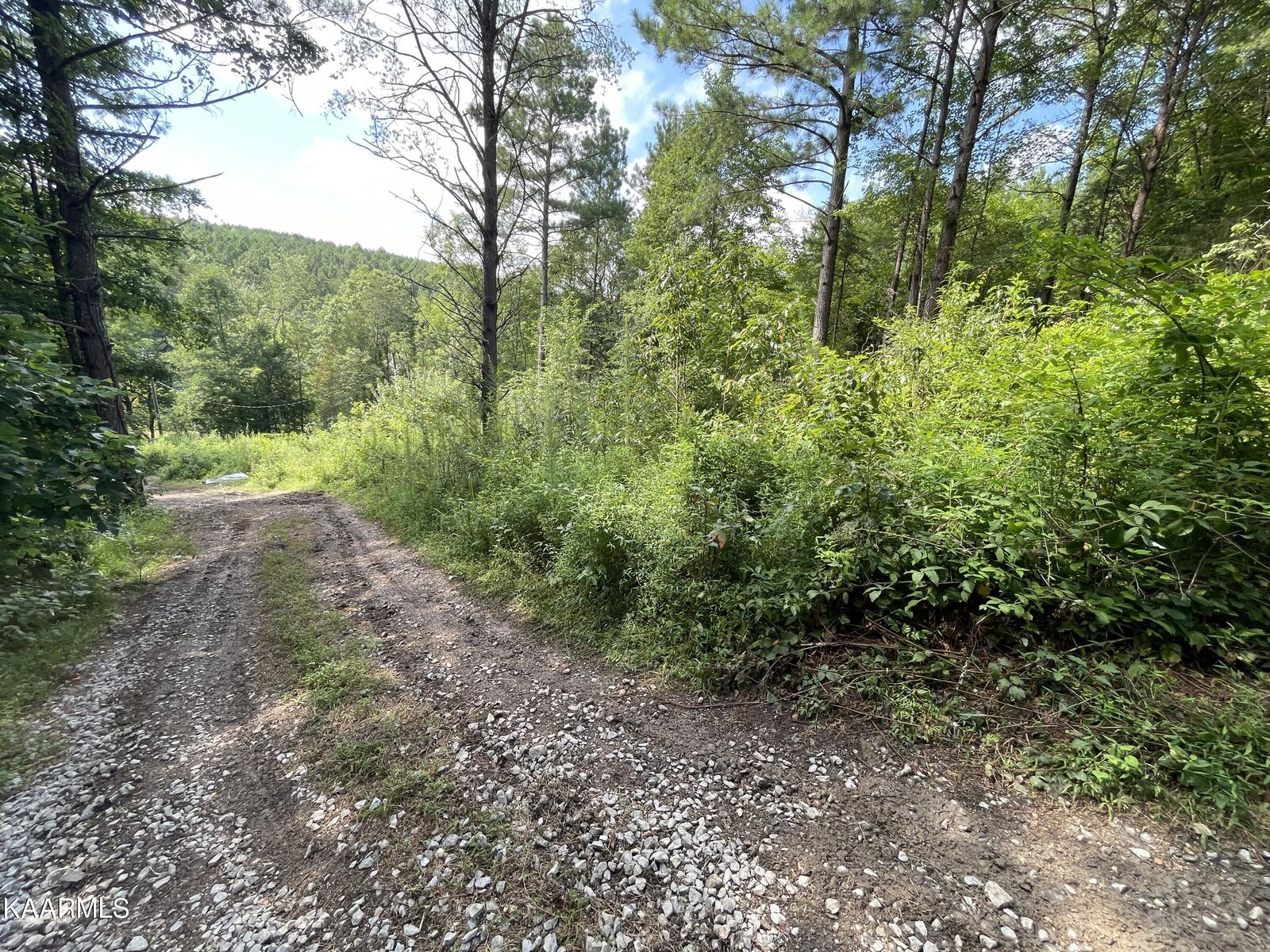 Property Photo:  5198 Clay Hollow Rd  TN 37874 