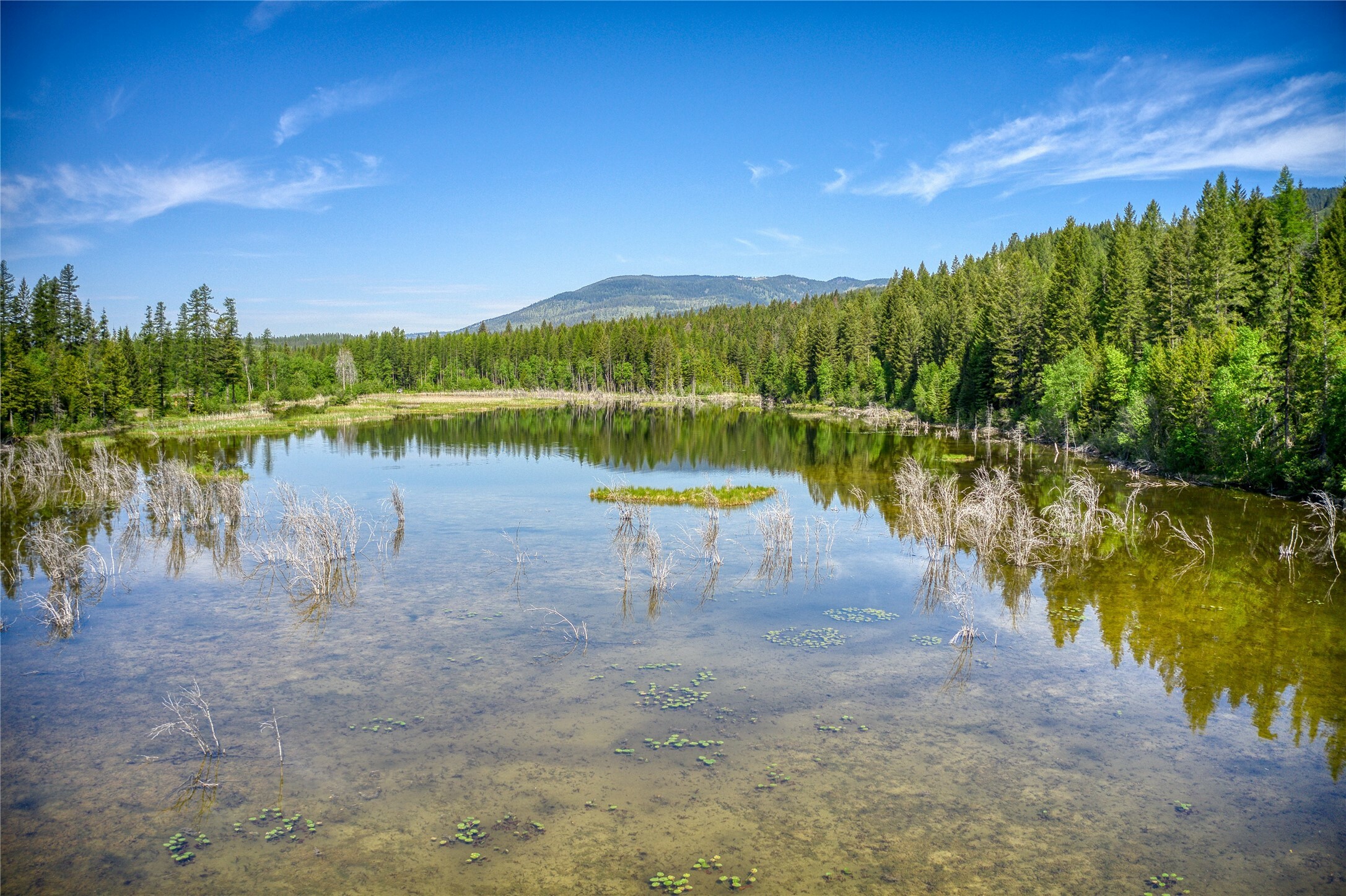 Property Photo: 2280 North Fork Road MT 59912