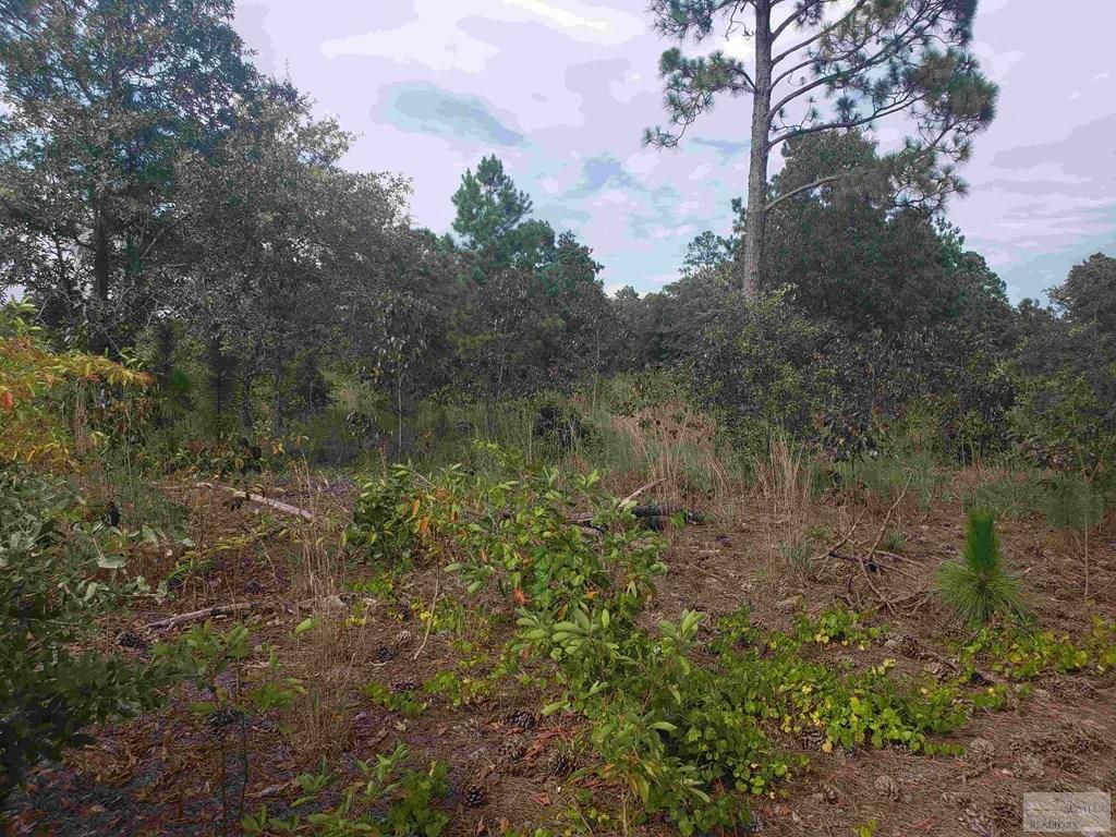 Property Photo:  Hound Hollow Road  SC 29032 