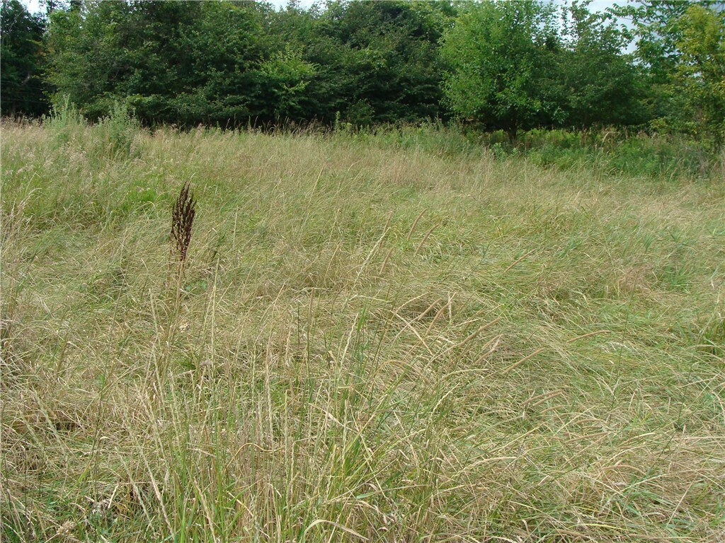 Property Photo:  Lot 8 Pleasant Unity Rd, Rt981  PA 15650 