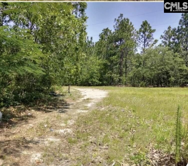 Property Photo:  451 George Brown  SC 29123 