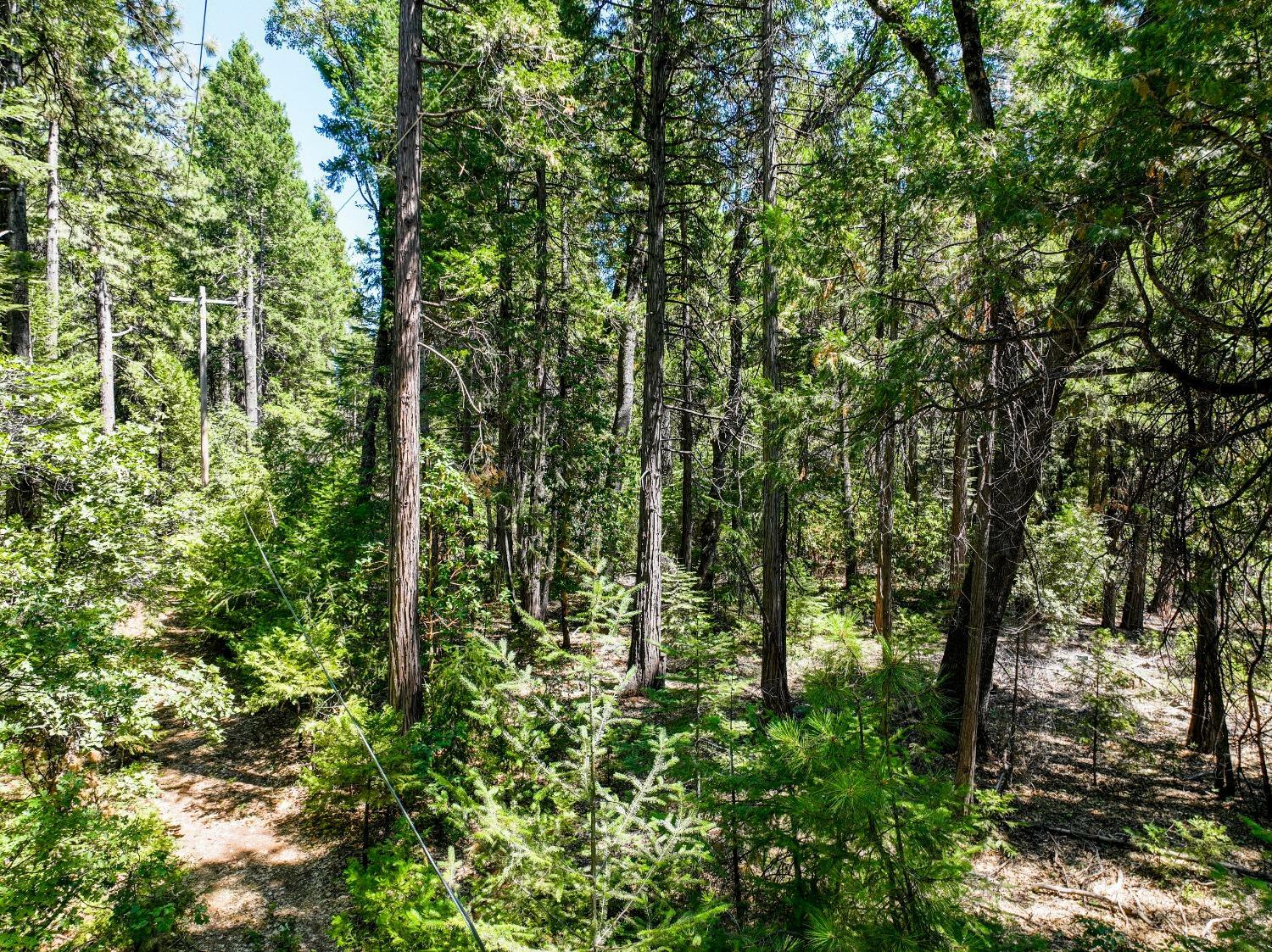 Property Photo: 13310 Willow Valley Road CA 95959