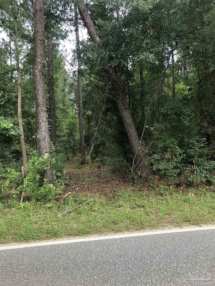 Property Photo:  Lot 8 Virecent Rd  FL 32533 
