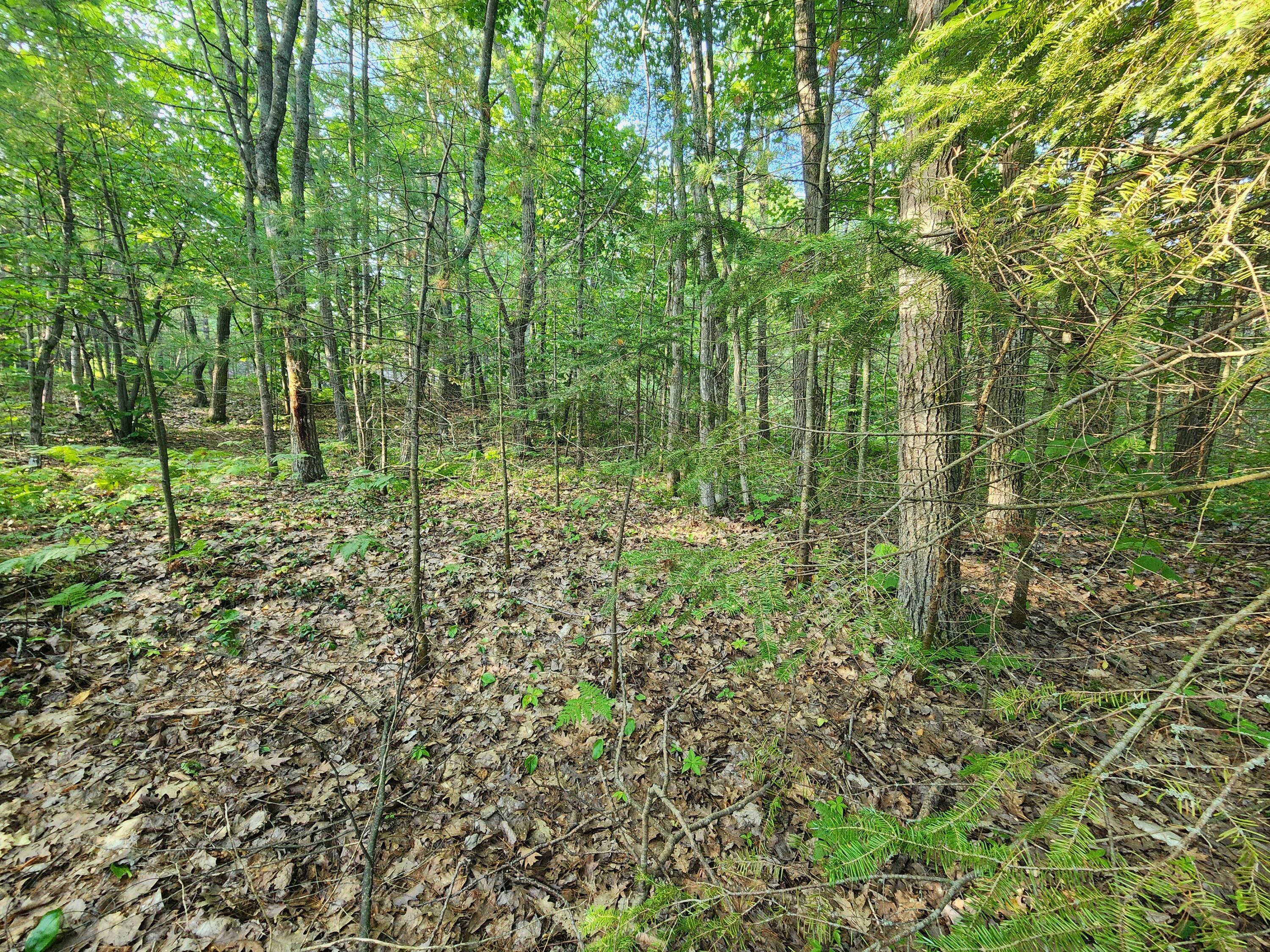 Property Photo:  8120 Cordwood Trail  MI 49721 