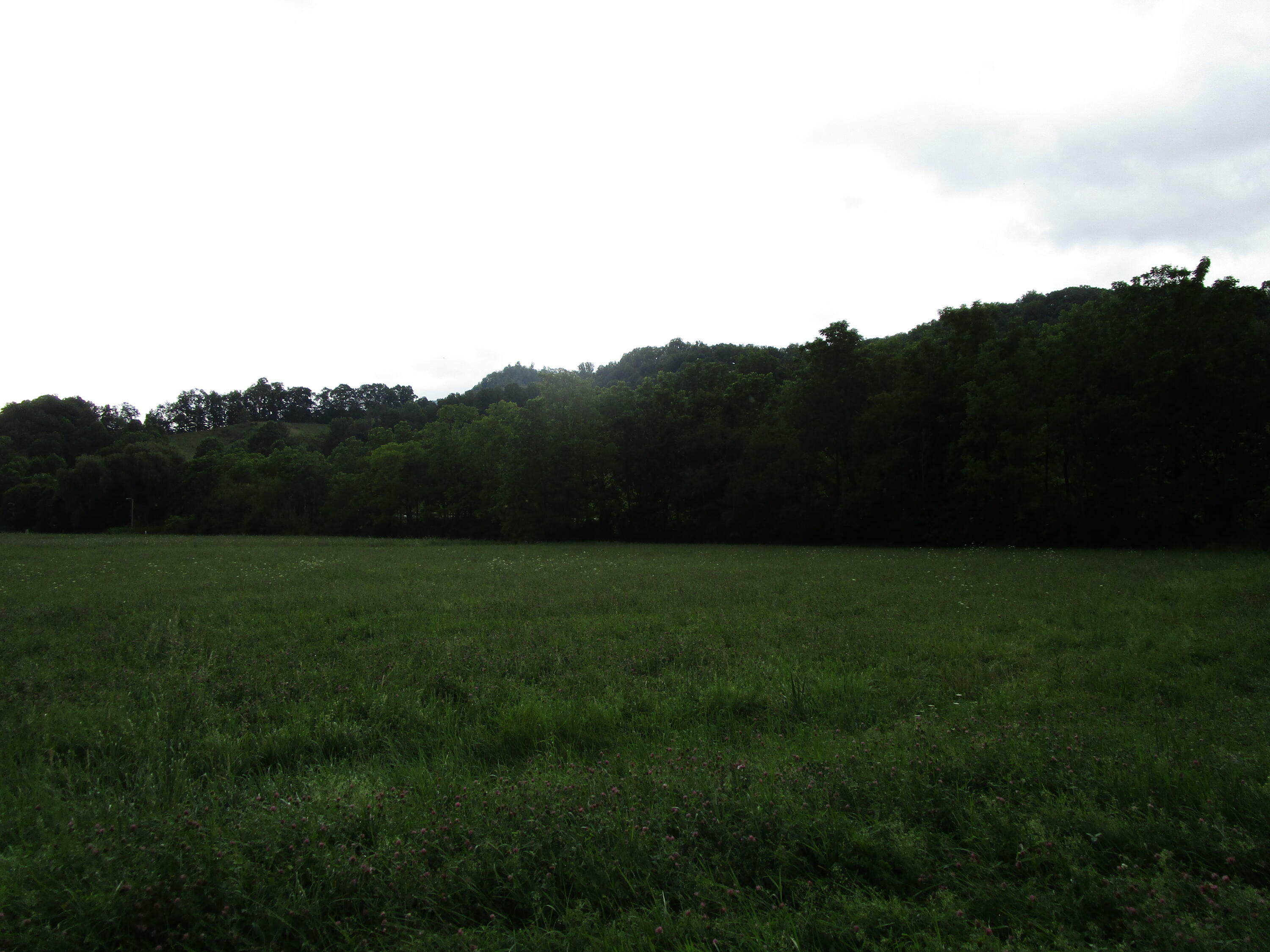 Property Photo:  Tbd Buck Creek Road  TN 37687 